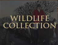 ABOUT VISUAL ART - WILDLIFE ARTWORK CATALOGUE COLLECTION