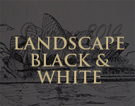 ABOUT VISUAL ART - LANDSCAPE BLACK AND WHITE ORIGINAL ARTWORK CATALOGUE COLLECTION